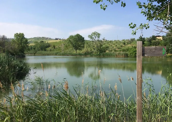 Tenuta Morganti