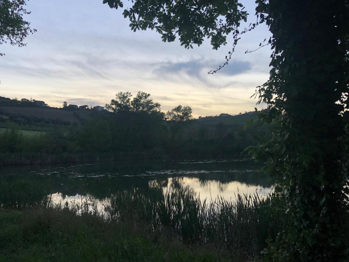 Bed & Breakfast Tenuta Morganti